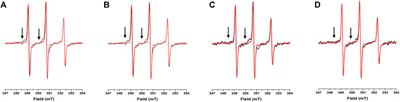 Crowding Effects on the Structure and Dynamics of the Intrinsically Disordered Nuclear Chromatin Protein NUPR1